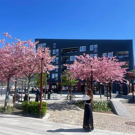 Appartement Sentrumsnaer Bergen