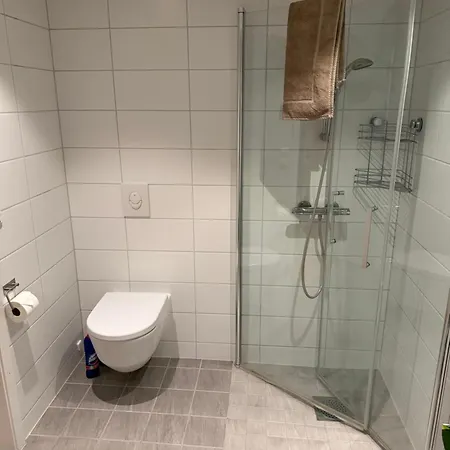 Sentrumsnaer Daire