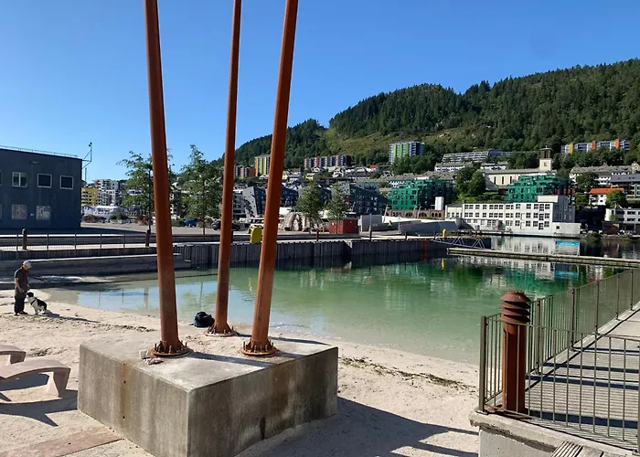 Lägenhet Sentrumsnaer *